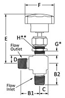 100 Needle Valve Angle Male NPT Line