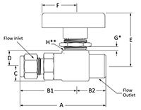 300 Two Way Valve Fractional Tube FItting to Female NPT Line