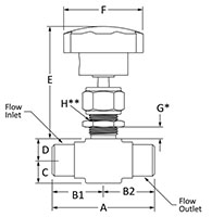 500 Metering Valve Female NPT