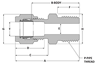 Tube fitting BSPT male connect