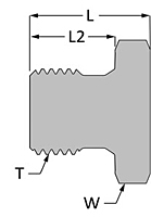 BSPP Plug