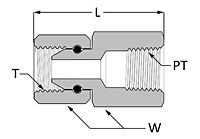 Pipe Swivel Female Connector