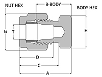 Tube fitting Cap