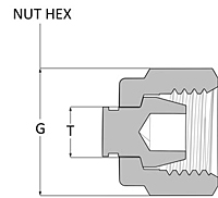 Tube fitting plug