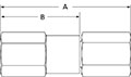 High pressure check valve female NPT end connections.
