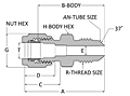 Tube fitting female AN adapter