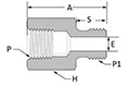 BSPP Female Connector