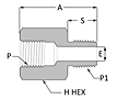 Female BSPP to male NPT adapter